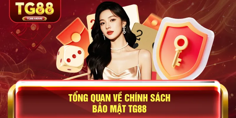 Tổng Quan Về Chính Sách Bảo Mật TG88